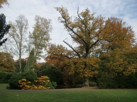 Brüggen : Dilborner Straße, Schloss Dilborn, Schlosspark